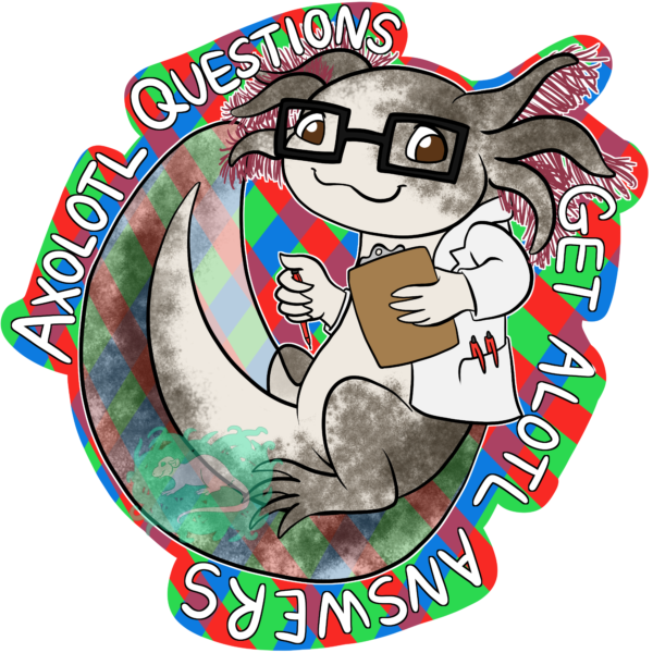 Axolotl Questions Sticker