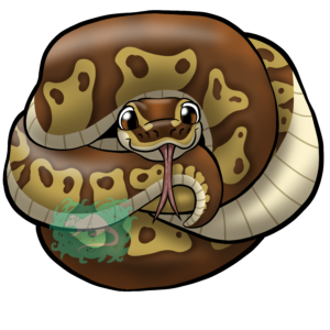 Balled Python Sticker